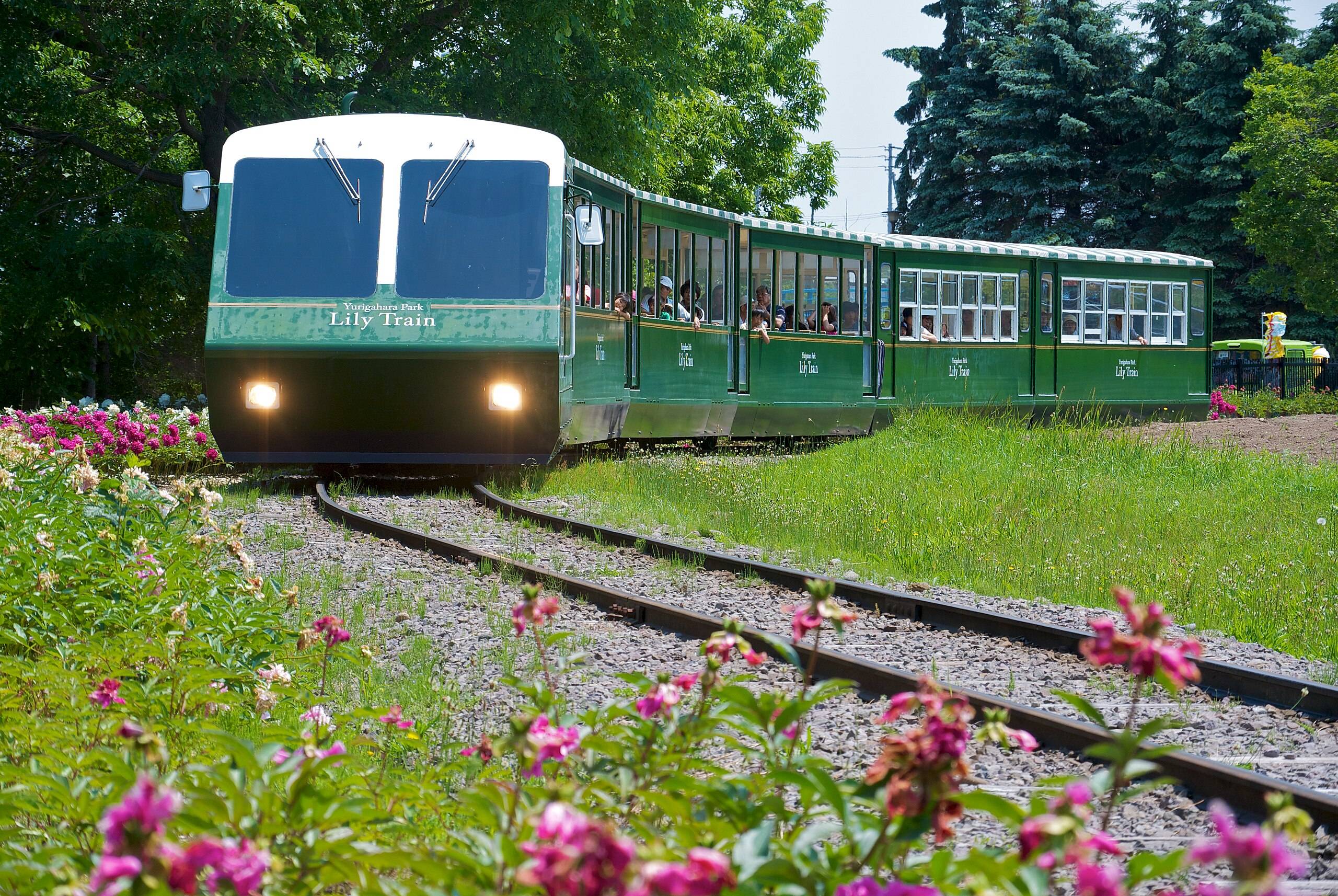 🏞️ 유리가하라 공원 이미지 4